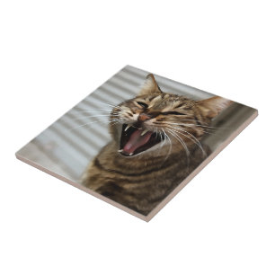 Azulejo De Cerâmica Tabby Cat Yawning Retrato Artístico