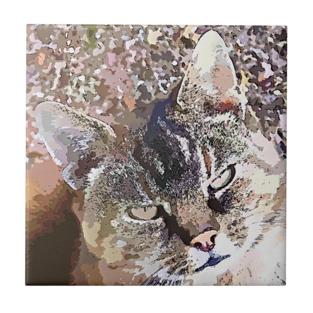 AZULEJO DE CERÂMICA  TABELA CAT (Frente)