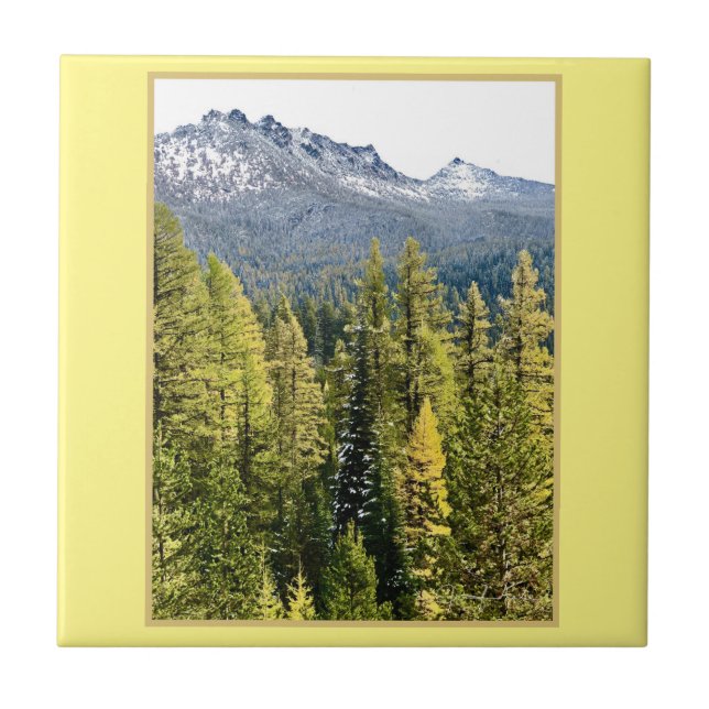 Azulejo De Cerâmica Tamarack Dourado (Frente)