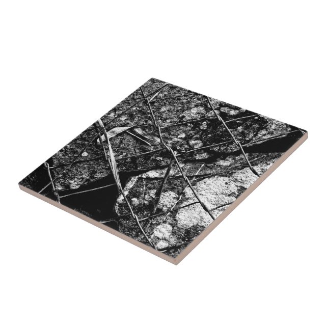 Azulejo De Cerâmica tanto para amanhã (Lateral)