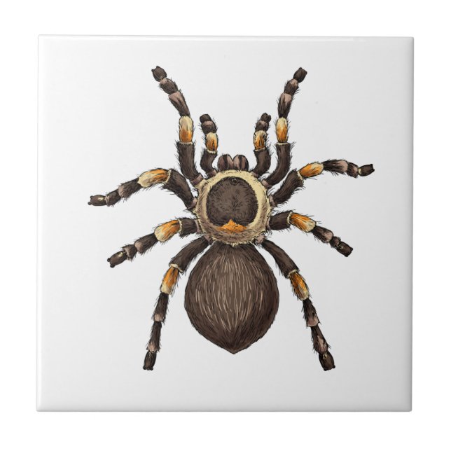 Azulejo De Cerâmica Tarantula (Frente)