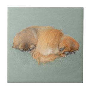 Azulejo De Cerâmica Tarde Sonolenta