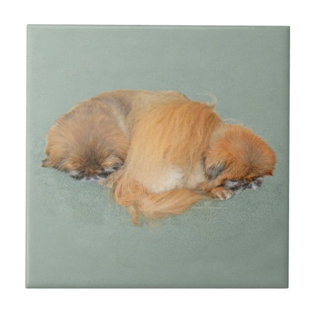 Azulejo De Cerâmica Tarde Sonolenta (Frente)