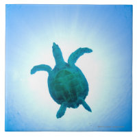 Tartaruga de mar que nada debaixo d'água
