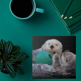 Azulejo De Cerâmica Tartes do Mar de Brincadeira