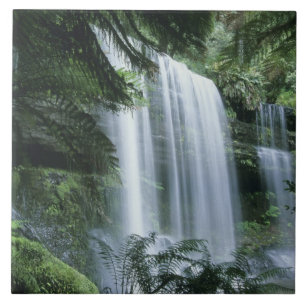Azulejo De Cerâmica Tasmânia, Parque Nacional do Monte Campo, Russell