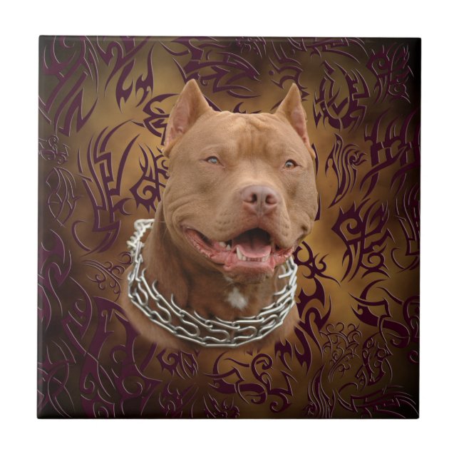 Azulejo De Cerâmica Tatuagem tribal de Pitbull Brown (Frente)