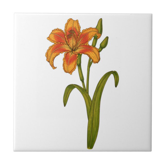 Azulejo De Cerâmica Tawny Daylily (Frente)