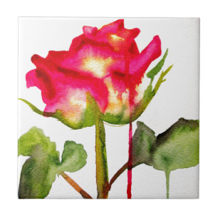 Azulejo De Cerâmica Tea Rosa de cor aquosa, arte floral moderna