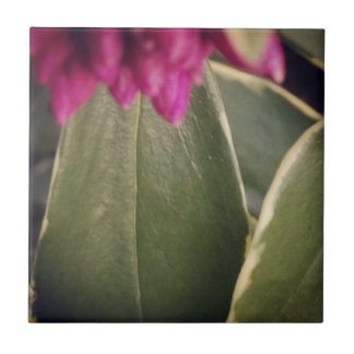 Azulejo De Cerâmica Telha Daphne da flora