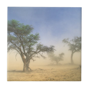Azulejo De Cerâmica Tempestade de areia no deserto do Kalahari, Kgalag