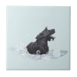 Azulejo De Cerâmica Tempo de Banho