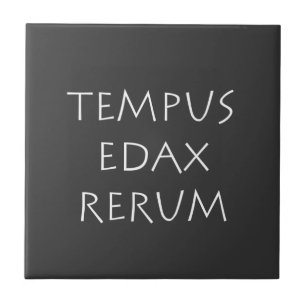 Azulejo De Cerâmica Tempus edax rerum