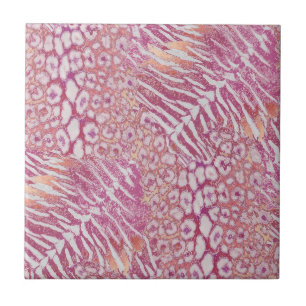 Azulejo De Cerâmica Tendência de pele de tigre-leopardo