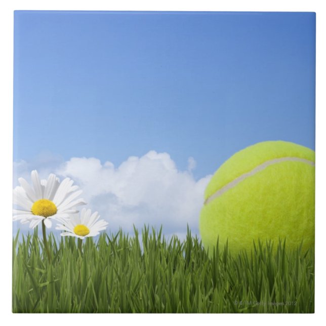 Azulejo De Cerâmica Tênis (Frente)