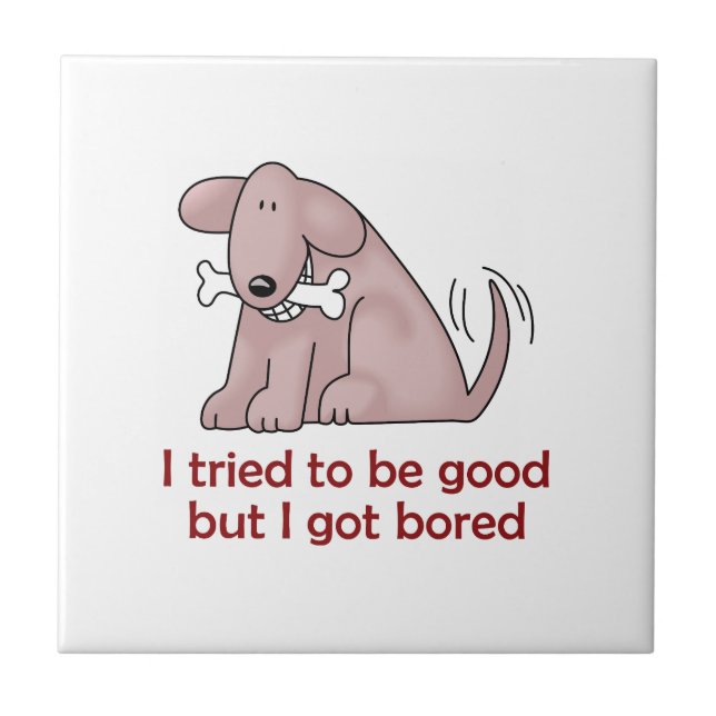 AZULEJO DE CERÂMICA  TENTEI SER BOM (Frente)