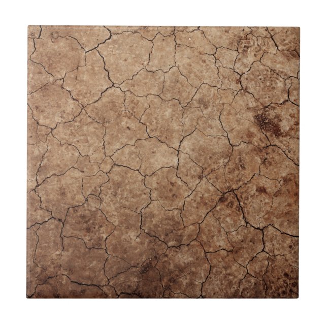 Azulejo De Cerâmica Terra seca (Frente)