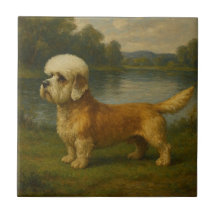 Terrier Dandi Dinmont
