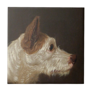 Azulejo De Cerâmica Terrier Dog Head (por James Ward)