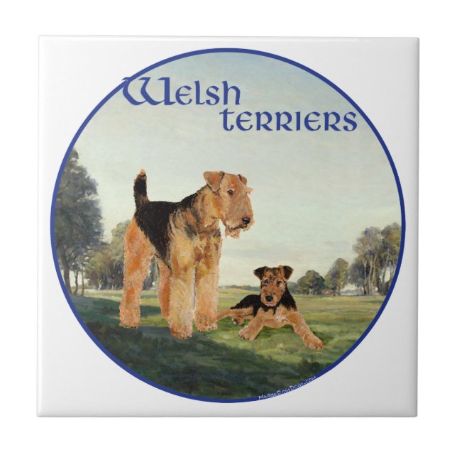 Azulejo De Cerâmica Terriers galeses (Frente)