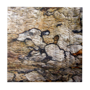Azulejo De Cerâmica Teste padrão do latido de árvore