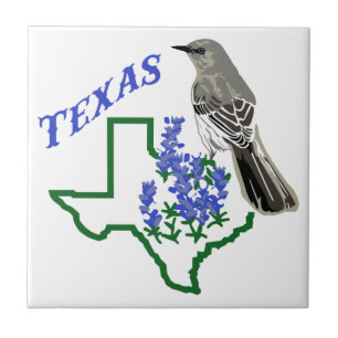 Azulejo De Cerâmica Texas