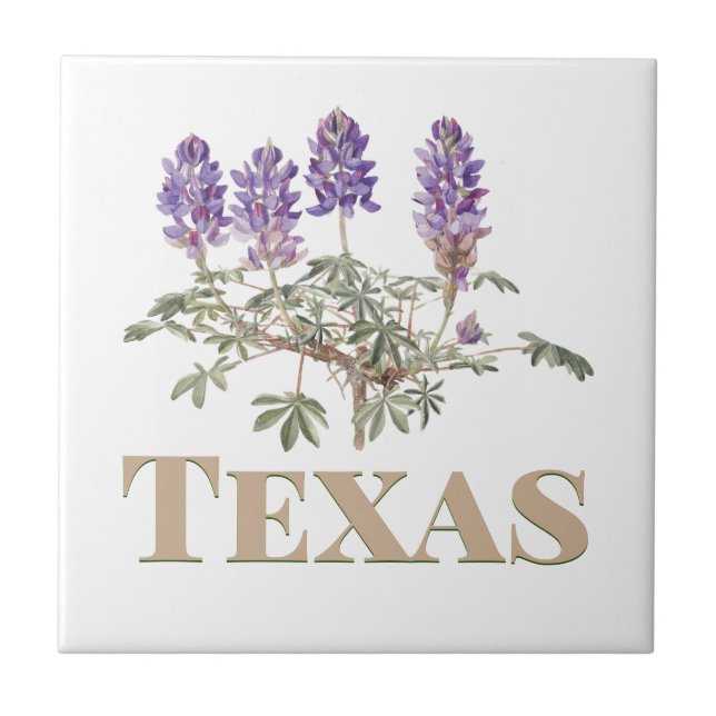 Azulejo De Cerâmica Texas Bluebonnet 2 (Frente)
