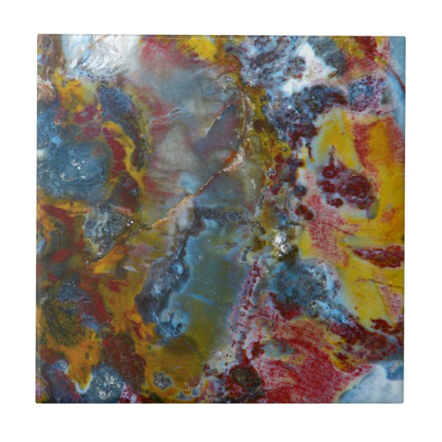 Azulejo De Cerâmica Textura da madeira Petrified (Frente)