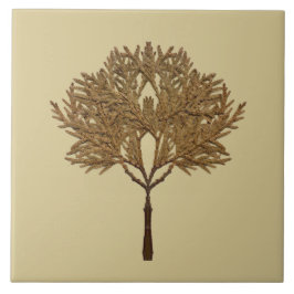 Azulejo De Cerâmica Textural Treasures of Winter on Ceramic Tile - D1