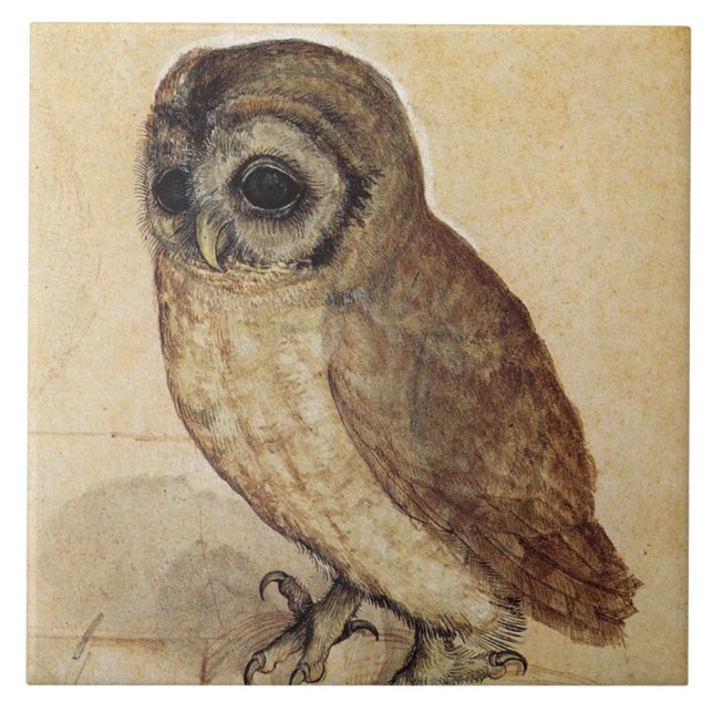 Azulejo De Cerâmica The Little Owl (por Albrecht Durer) (Frente)