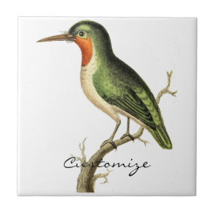 Azulejo De Cerâmica Thunder_Cove do Hummingbird