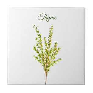 Azulejo De Cerâmica Thyme Herb Greeneren Kitchen Culinária Verde