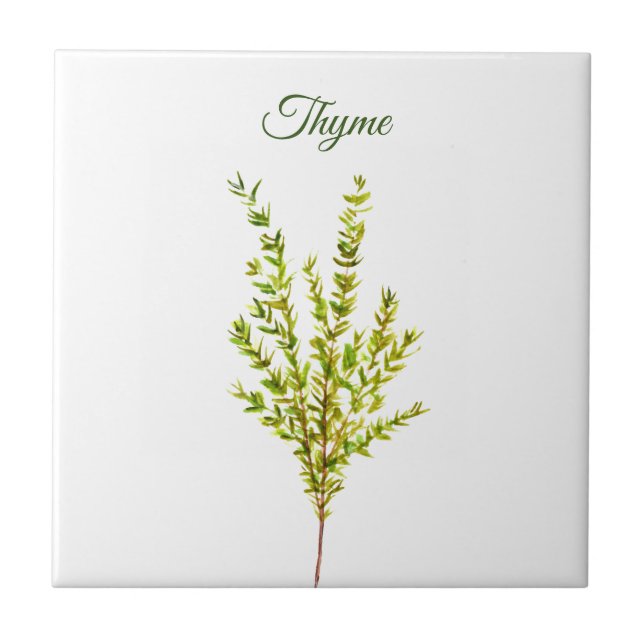 Azulejo De Cerâmica Thyme Herb Greeneren Kitchen Culinária Verde (Frente)