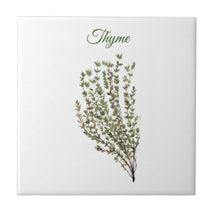 Azulejo De Cerâmica Thyme Herb Greeneren Kitchen Culinária Verde