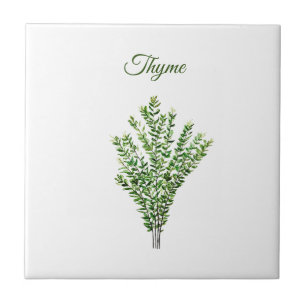 Azulejo De Cerâmica Thyme Herb Greeneren Kitchen Culinária Verde