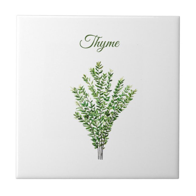 Azulejo De Cerâmica Thyme Herb Greeneren Kitchen Culinária Verde (Frente)