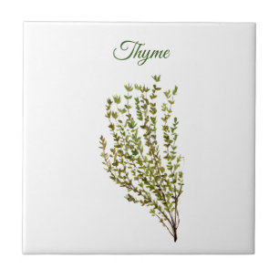 Azulejo De Cerâmica Thyme Herb Greeneren Kitchen Culinária Verde Plan