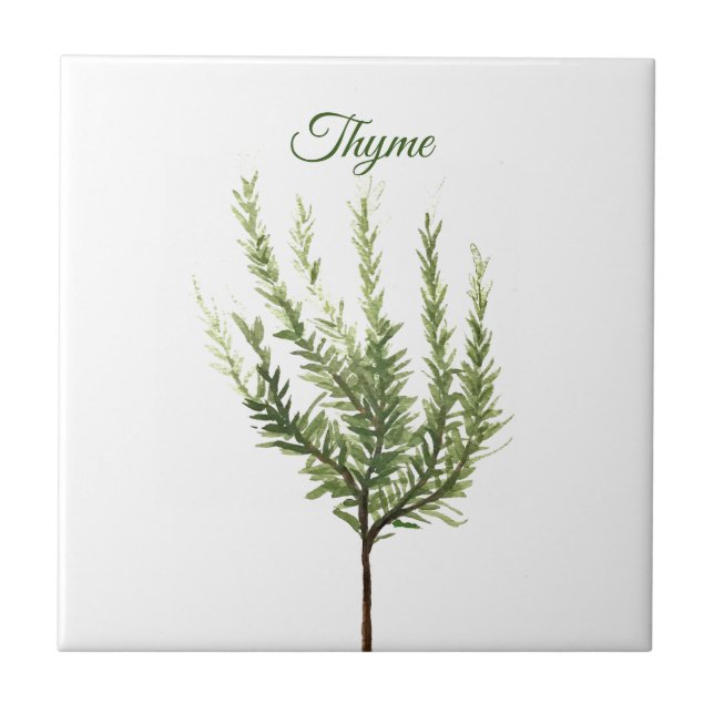 Azulejo De Cerâmica Thyme Herb Greeneren Kitchen Culinária Verde Plant (Frente)