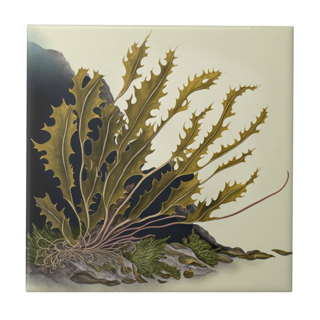 Azulejo De Cerâmica Tidal Fronds (Frente)
