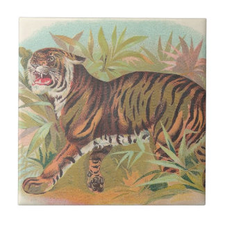 Azulejo De Cerâmica Tigre