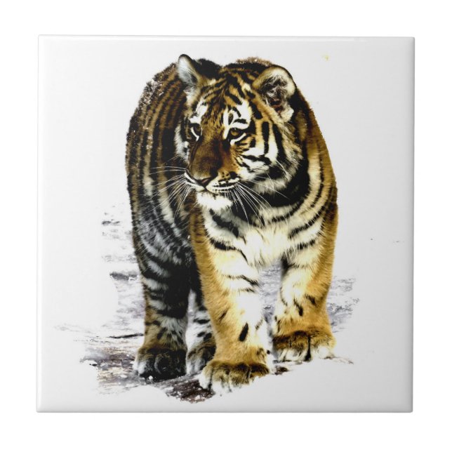 Azulejo De Cerâmica Tigre (Frente)