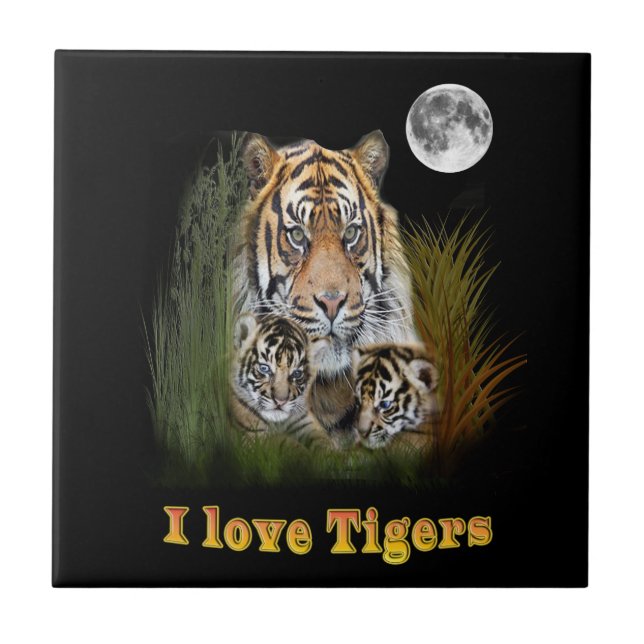 Azulejo De Cerâmica Tigre (Frente)