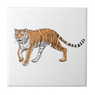 Azulejo De Cerâmica Tigre 2