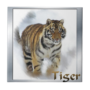 Azulejo De Cerâmica Tigre Amante de Arte