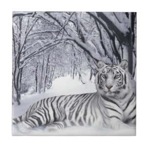 AZULEJO DE CERÂMICA  TIGRE BRANCO