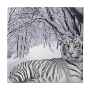 Azulejo De Cerâmica Tigre de Neve Branco