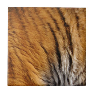 Azulejo De Cerâmica Tigre-Stripes-Big Cat Wildlife