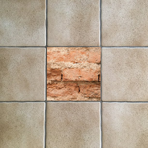 Azulejo De Cerâmica Tijolo E Fundo De Morteiro De Laranja Atingidos