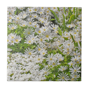 AZULEJO DE CERÂMICA  TILE/TRIVET CERÂMICO COM AS MARGARIDAS DE SHASTA