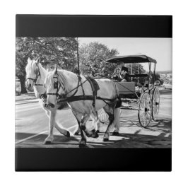 Azulejo De Cerâmica Timeless Journey
